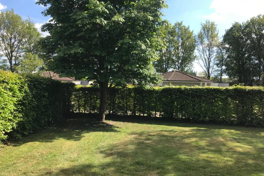Rustig gelegen bungalow in mooi Havelte  Exterior foto
